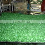 artifficial grass for football fields & garden with high quality