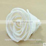 Begonia Sola Flower Aroma Diffuser With Reed or Cotton Rope thumbnail-4