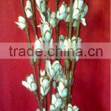 Papri Sola Handmade Deco Bunches thumbnail-1