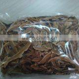 Reishi Herbs Pieces Chinese Herbs