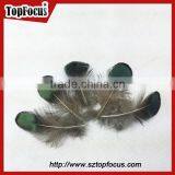 Carnival Decorate Green Loose Lady Amherst Pheasant Feathers for Sale thumbnail-4