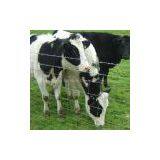 Prairie Fence Wire Mesh thumbnail-1