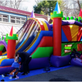 4 in 1 Royal Bouncy Castle With Slide, Castle Inflatable Combo, Inflatable Jumping Castle for Sale thumbnail-2