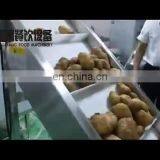 Industrial Automatic Vegetable and Fruit Washing and Peeling Machine