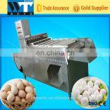 Automatic Boiled And Cooked Egg Peeling Machine For Sale thumbnail-2