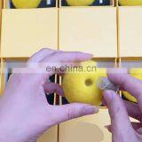 Cat Chasing Toys Colorful Wool Ball thumbnail-4