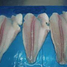 Frozen Pangasius Fillets, (pangasius Hypophthalmus) , Filete De Basa, Basa Rojo, Blanco thumbnail-1