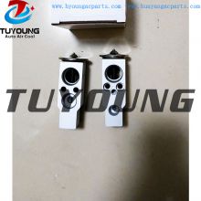 TUYOUNG HY-PZF157 auto AC expansion valve Suzuki Grand Vitara II 9543164J80 China factory manufacture