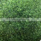 100%Pure Seasoning Powder Roasted Green Seaweed Powder for Bakery thumbnail-4