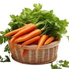 Fresh Carrot