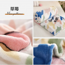 Coral Fleece Blanket Ponchos With All Kinds of Pattern and Styles 220GSM, Size From 1*1.5m to 2*2.3m
