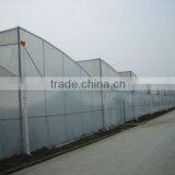 Gutter Connected Greenhouse thumbnail-2