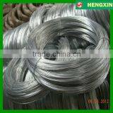 BWG22 8KG Electro Galvanized Iron Wire Galvanized Wire