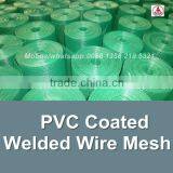 China Facotry Green Color Epoxy Coated Wire Mesh