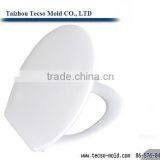 Plastic Toilet Seat /toilet Cover Mould Supplier thumbnail-5