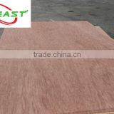 bintangor commercial plywood/okoume plywood/cheap plywood