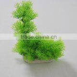 Green Water Plant thumbnail-4