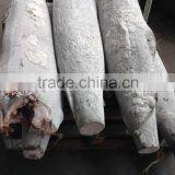 SEAFROZEN BLACK MARLIN DWT thumbnail-2