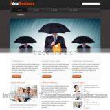 Responsive Website Designing Services India thumbnail-2