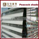 YUMA Peacock Shade Window Roller Blind thumbnail-1