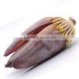 Banana Flower Exporters thumbnail-1