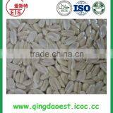 Shandong Blanched Peanut With Factory Price and High Quality thumbnail-6