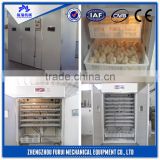 CE approved eggs incubator equipement