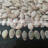 White Pumpkin Seeds in Shell thumbnail-1