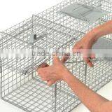 Rats Traps thumbnail-1