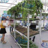 380 Seedling Dish Tool Car thumbnail-5