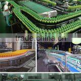 Pressureless Conveyor Combiner and Distributor thumbnail-1