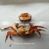 Crabs Continouous Microwave Cooker thumbnail-1