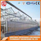 Factory Outlet Large Multi-span PC Sheet Agricultural-commercial Greenhouses thumbnail-3