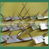 Wall Spike One Top of Fence and Wall thumbnail-3