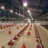 125x21x2.5m Light Steel Structure Chicken House in Middle East thumbnail-5