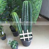 SJ3001008 Home Decoration Craft Artificial Mexico Cactus Plants thumbnail-1