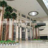 Artificial Different Kinds Of Washington Palm Trees Artificial Plants thumbnail-2