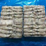 2015 Baby Squid thumbnail-1