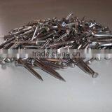 Square Head Nails thumbnail-1