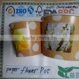 Waterproof Paper Planter,2015 New Item,Mini GIft Items. thumbnail-1