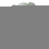 Sell Sitting Bear With Mending thumbnail-1