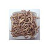 Freeze Dried Earthworms