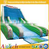 Children and Adults Outdoor Inflatable Giant Slide for Sale
