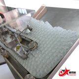 口服液灌装机 (6)