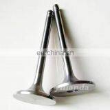 226B впускной клапан 12159606 и выпускной клапан 12159608