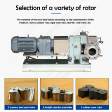 QinPing QP120M Stainless Steel Lobe Pump Floating Seal-with Servo Motor Transport Sewage and Sludge thumbnail-4