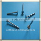 electric galvanized flat head roofing nails with smooth shank