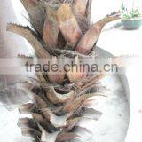 Make Artificial High Imitation Palm Tree,fake Outdoor Little Palm Tree