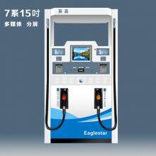 Customized Equipment Sanjin Double Oil Product Gear Pump, Submersible Oil Pump Gasoline, Diesel Refueling Machine thumbnail-5