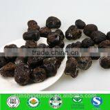Truffle Product Type Chinese Black Truffle thumbnail-1